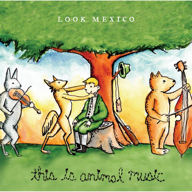 This Is Animal Music cover