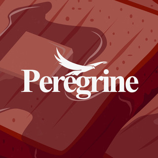 Peregrine Photo