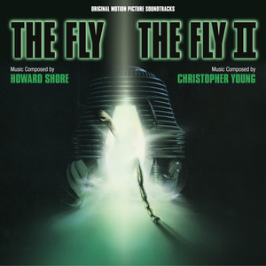 The Fly album