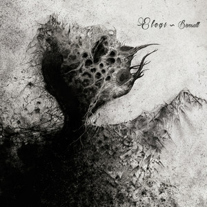 Bånsull cover