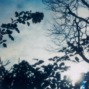 Flowing Seasons cover