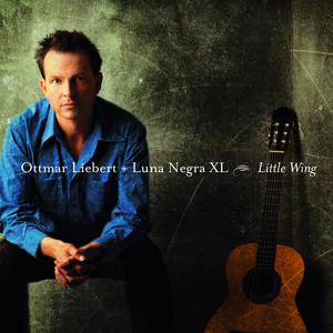 Little Wing album