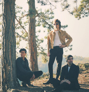 Sunflower Caravan Photo