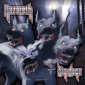 Radio cover