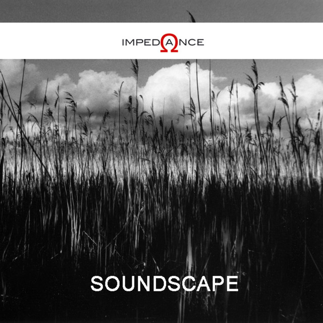 Impedance Photo