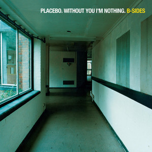 Without You I'm Nothing: B-Sides cover