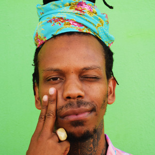 Floyd Lavine Photo