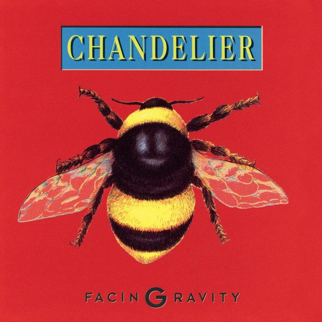 Facing Gravity cover