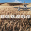 Somewhere to Elsewhere cover