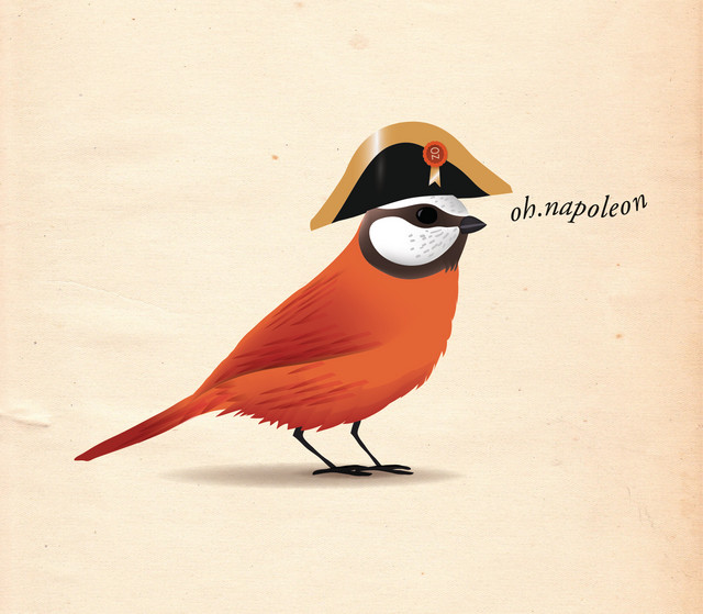Oh, Napoleon Photo
