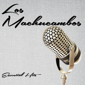 Essential Hits album