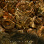 The So Flows Sessions cover