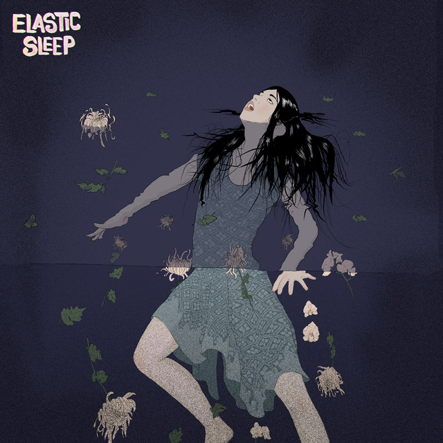 Elastic Sleep Photo