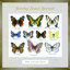 The Collection cover