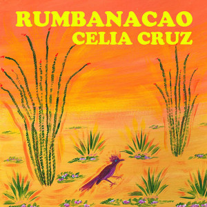 Rumbanacao album