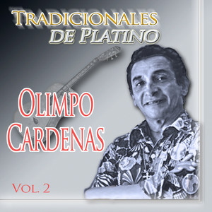 Tradicionales de Platino, Vol. 2 album