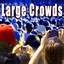 Crowd: Large Albumcover