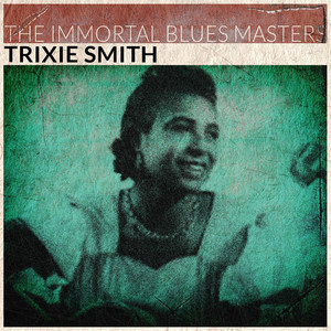 The Immortal Blues Masters cover