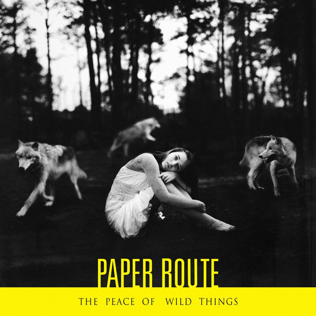 The Peace Of Wild Things cover