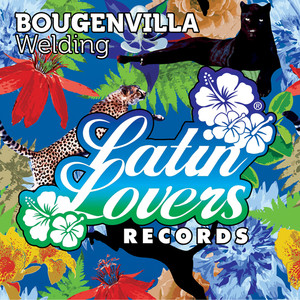 Bougenvilla