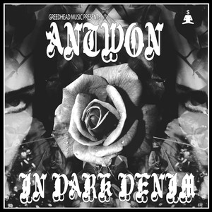 In Dark Denim cover