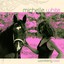 Wandering Road Albumcover