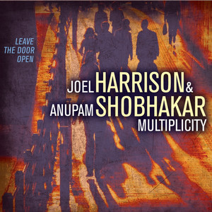 Multiplicity: Leave the Door Open (feat. Gary Versace, Hans Glawischnig & Dan Weiss) album