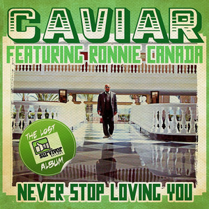 Never Stop Loving You (Digitally Remastered) cover