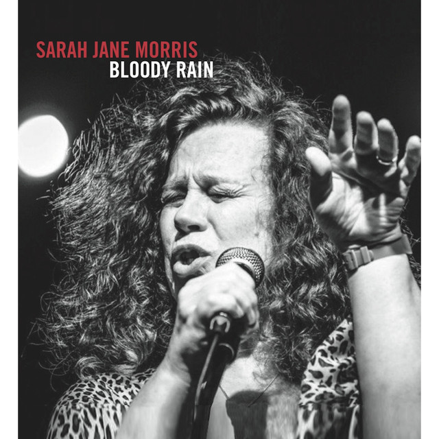 Bloody Rain cover