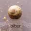 Biber Albumcover