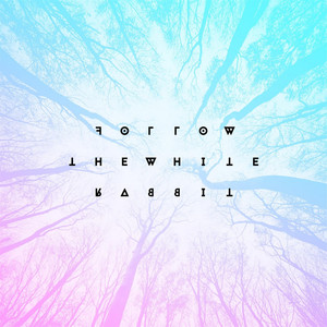 Follow The White Rabbit Photo
