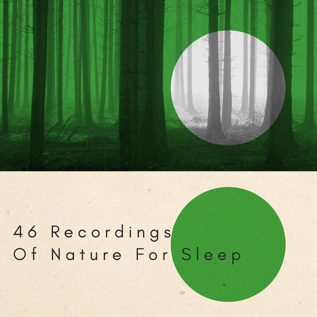 46 Recordings Of Nature For Sleep