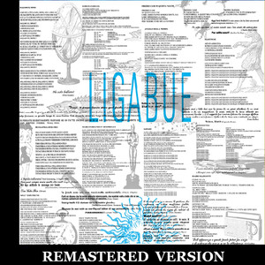 Ligabue cover