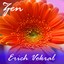 Acoustic Guitar For Zen Meditation Albumcover