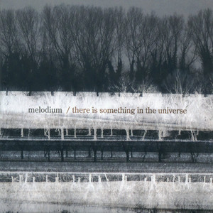 There Is Something in the Universe cover