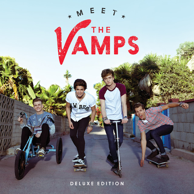 Meet The Vamps cover