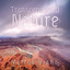 Transcendental Nature cover
