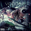 Voodoo cover