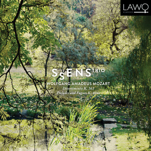 Divertimento K. 563 cover