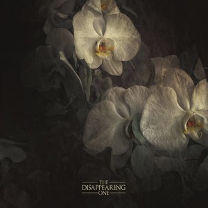 The Disappearing One