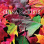 Collection cover
