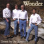 Down By The Riverside Albumcover
