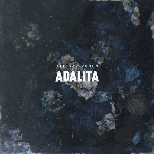 All Day Venus cover