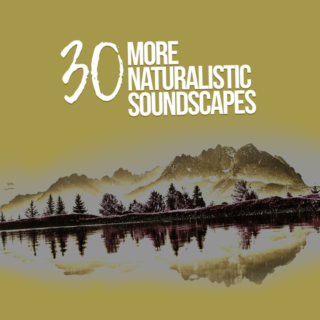 30 More Naturalistic Soundscapes
