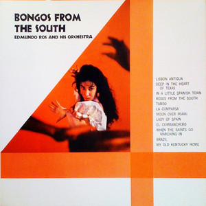 Bongos from the South album