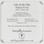 Lily of the Nile Albumcover