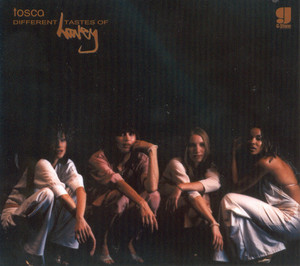 Different Tastes Of Honey (Continuous Mix) album