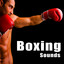 Boxing Sound Effects Albumcover