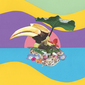 Flowering Jungle cover