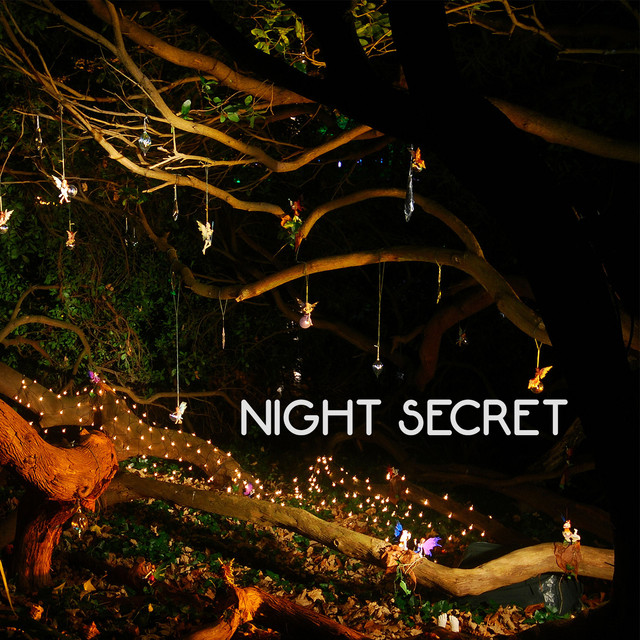 Night Secret Albumcover
